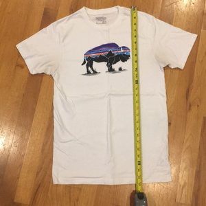 Patagonia T-shirt